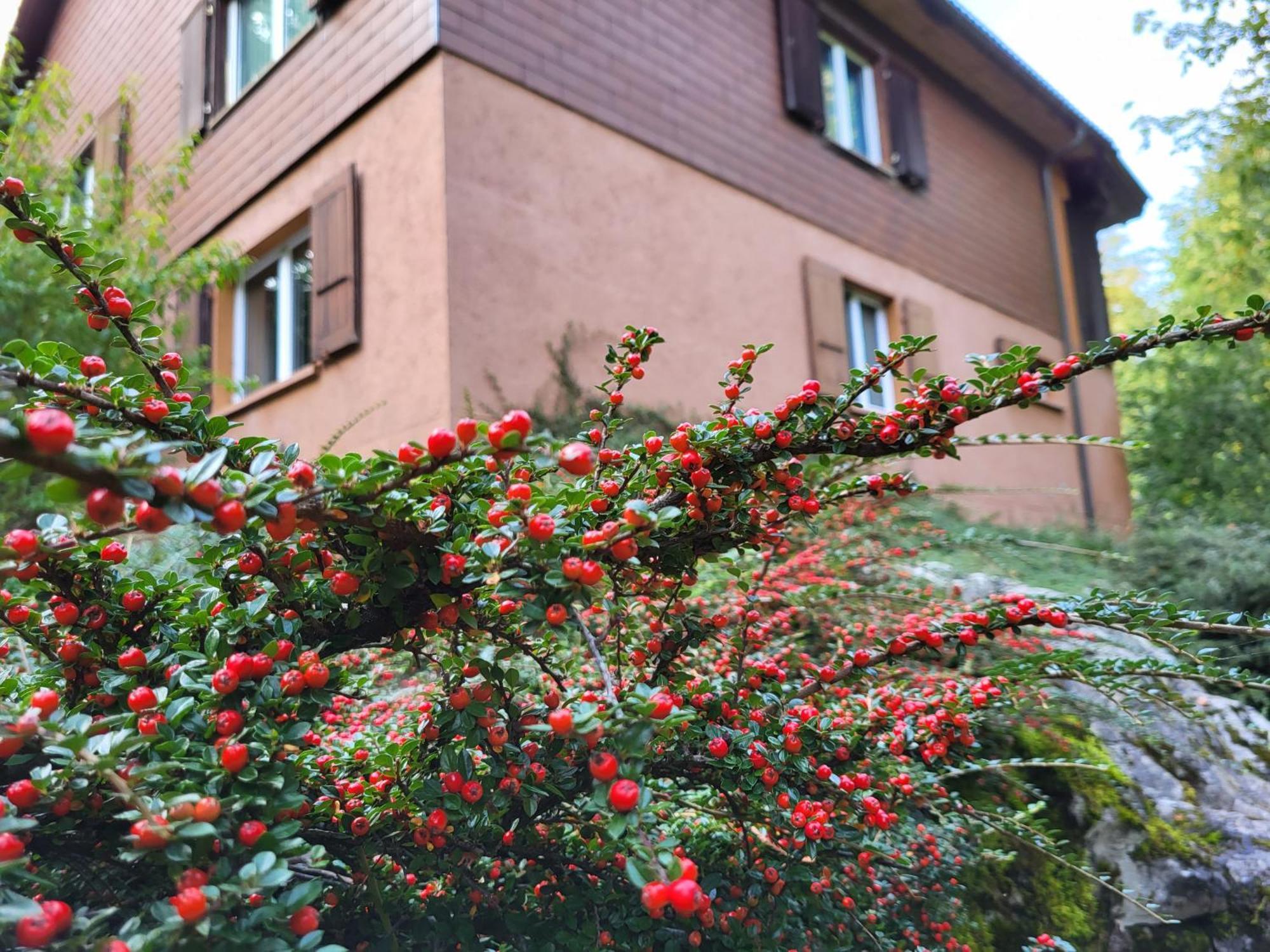 Ferienhaus Baerschwendi ルンゲルン エクステリア 写真